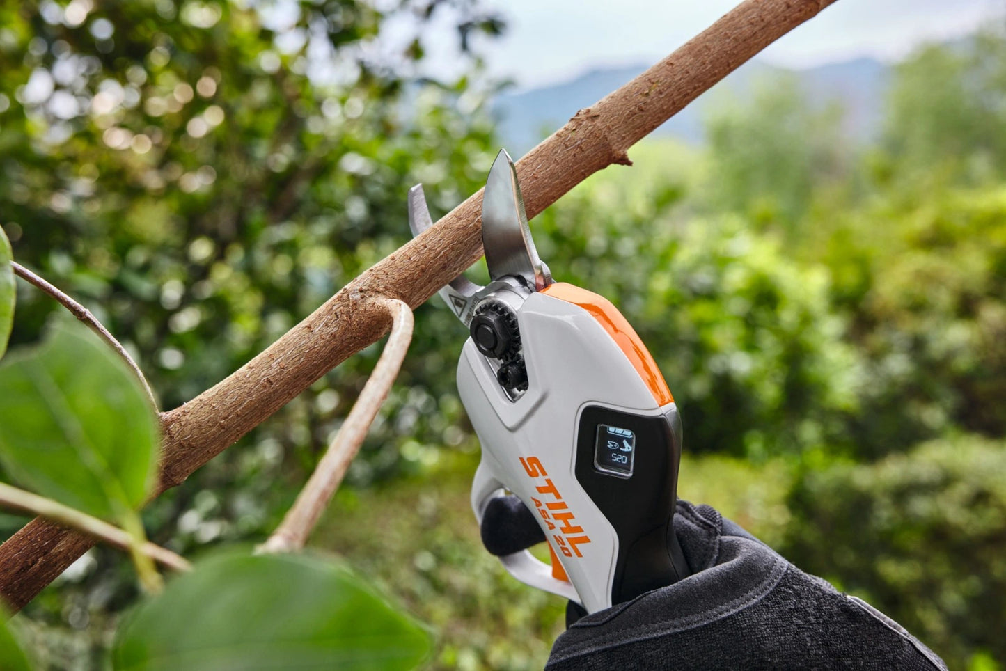 Tijeras de podar con batería de litio ASA 20 【STIHL】