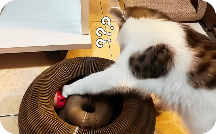 Rascador Mágico para Gato - Kitty Kurlz™ 2 x 1