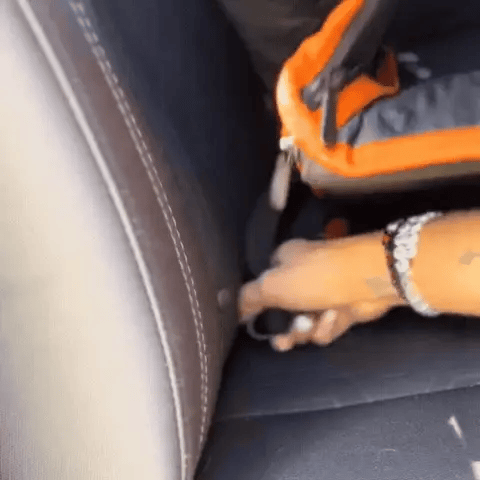 Super Oferta PetSecure MAX Funda Protectora para Asientos