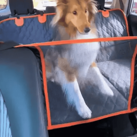 Super Oferta PetSecure MAX Funda Protectora para Asientos